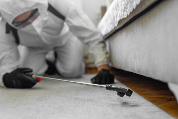Professional Cockroach Control technician working in Santa Anna, TX