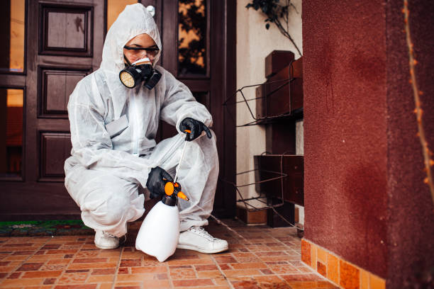 Reliable Cockroach Control contractor in Santa Anna, TX by Nex Pest Control